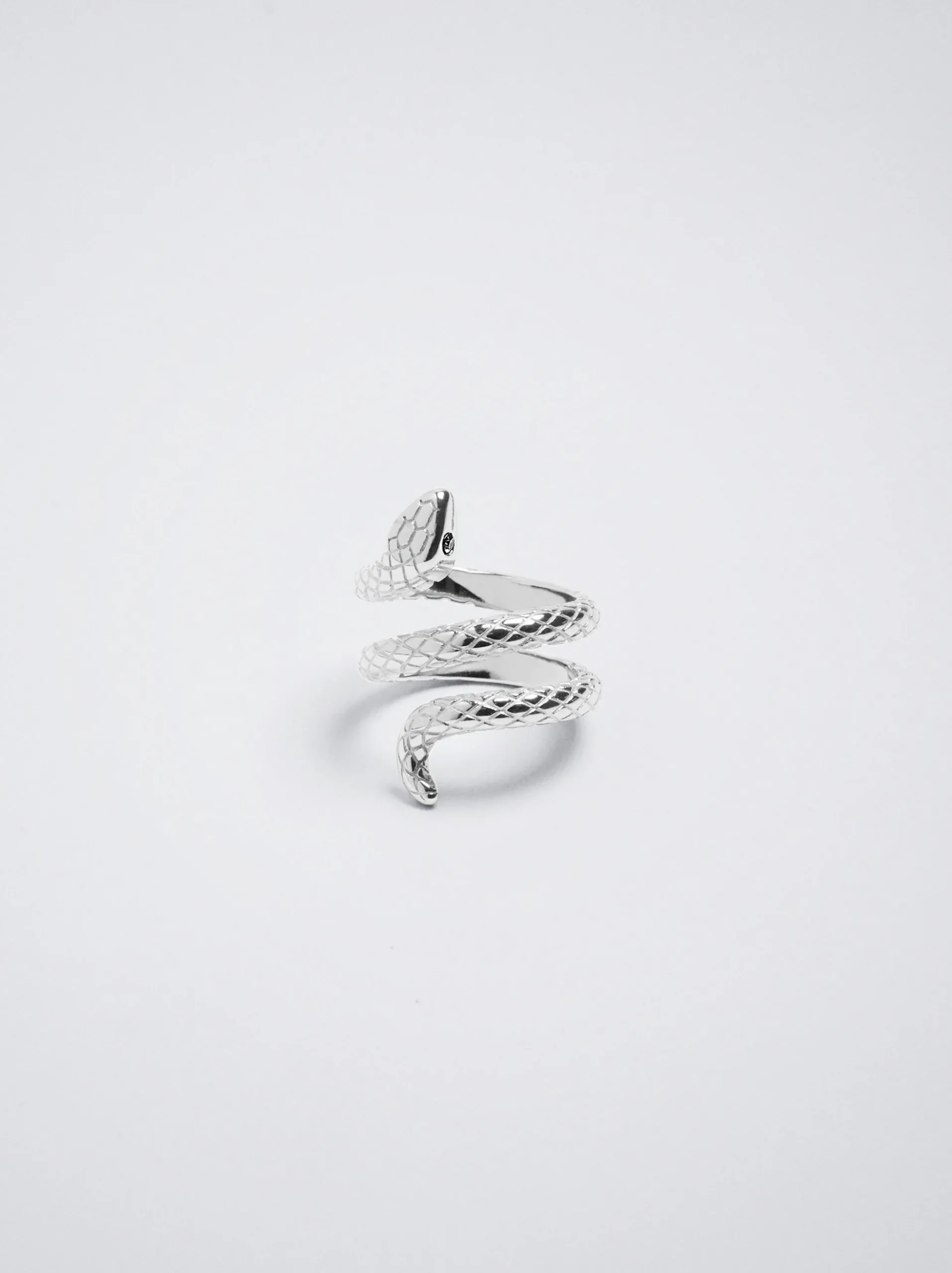 Stainless Steel Snake Ring|Parfois New