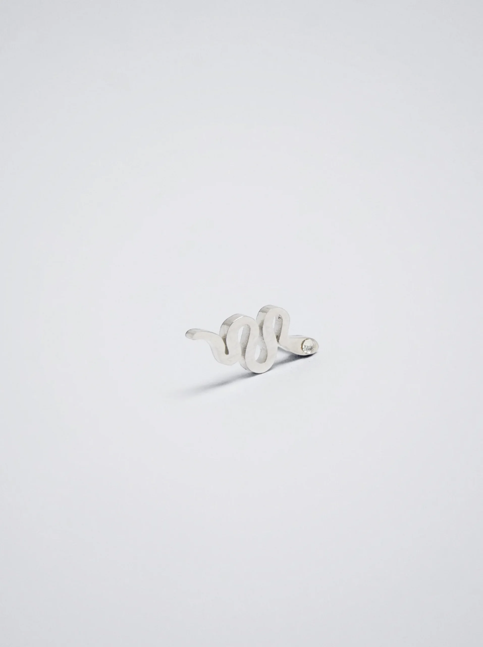 Steel Earrings With Snake|Parfois Best